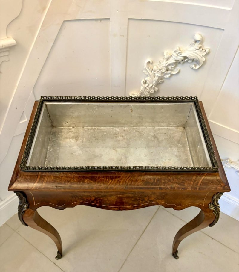 Quality Antique French Walnut Jardinière Table - Image 7